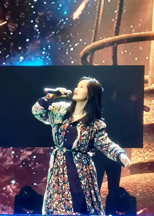 Con cái và công việc luôn là ưu tiên hàng đầu của Hồng Nhung sau khi cô ly hôn.