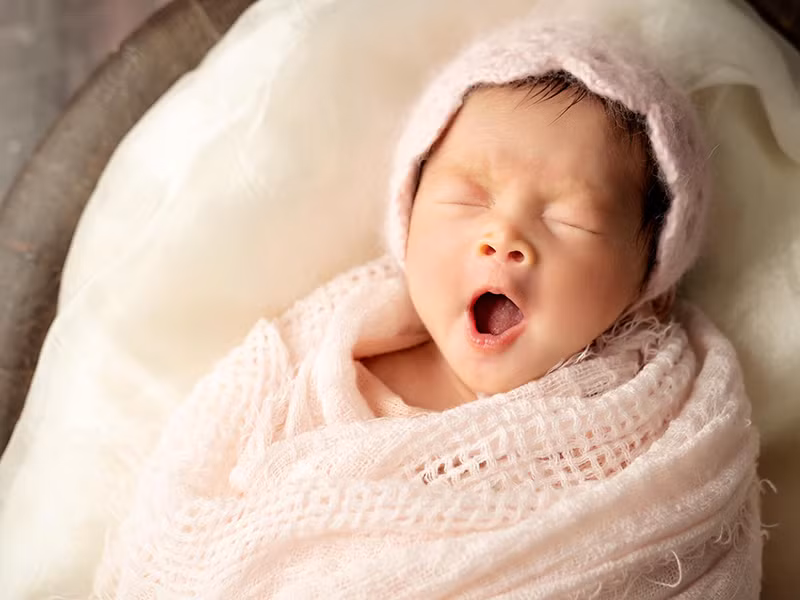 Vợ chồng Pha Lê đặt tên con gái là Thiên Ý, tiếng Anh là Honora Shin và tên thân mật là Ốc.