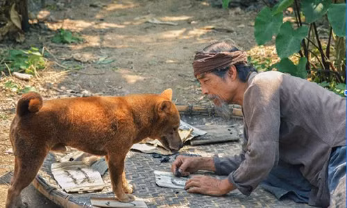 Teaser trailer phim “Cau Vang” he lo tinh tiet khac nguyen tac