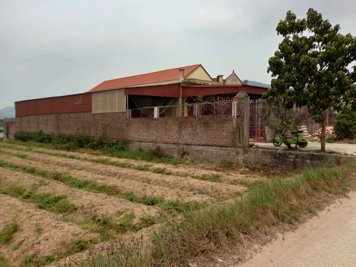 Cty Cá giống Kinh Môn vi phạm về đất đai, xây dựng: Gần 5 năm chưa xử lý được? Cty Ca giong Kinh Mon vi pham ve dat dai, xay dung: Gan 5 nam chua xu ly duoc?