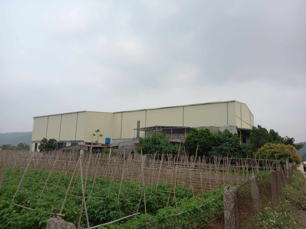 Cty Cá giống Kinh Môn vi phạm về đất đai, xây dựng: Gần 5 năm chưa xử lý được? - Hình 2 Cty Ca giong Kinh Mon vi pham ve dat dai, xay dung: Gan 5 nam chua xu ly duoc?-Hinh-2