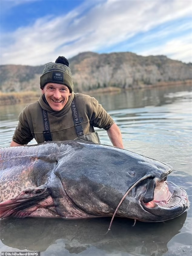 Đi câu cá chép, bất ngờ bắt được “thủy quái” nặng hơn 100kg - Hình 2 Di cau ca chep, bat ngo bat duoc “thuy quai” nang hon 100kg-Hinh-2