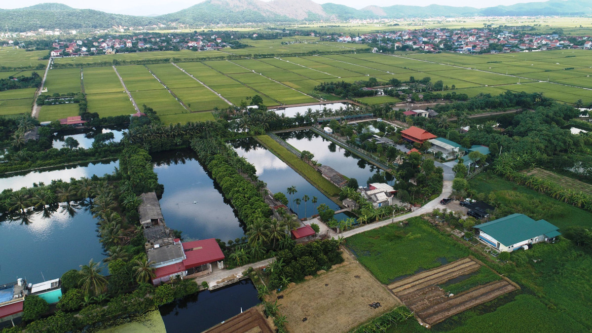 Toàn cảnh quần thể công trình nhìn từ trên cao.