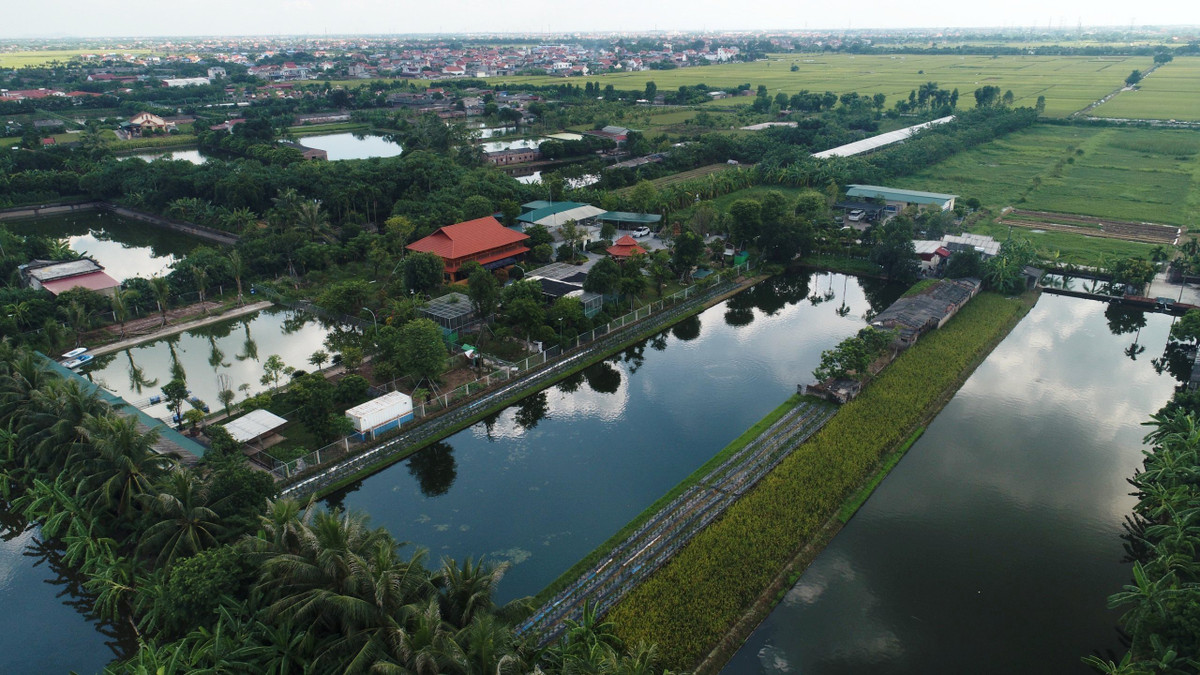 Ngoài ra, ông Nguyễn Ngọc Chiến còn xây dựng công trình phụ dài 12 m, rộng 4.0 m, cao 2.5 m có kết cấu móng, tường xây gạch chỉ, mái lợp tôn và một số công trình phụ trợ khác như lán để xe, chòi uống nước, tiểu cảnh bể cá koi và sân cổng...