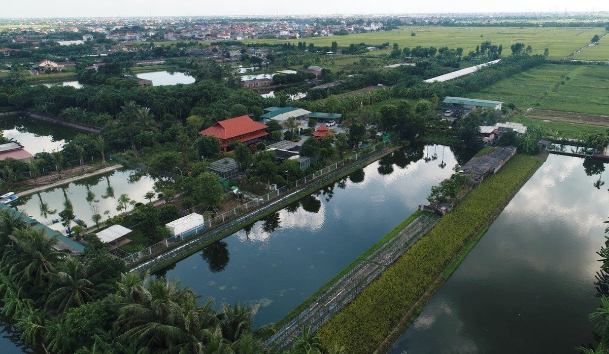 Cận cảnh quần thể công trình xây dựng trái phép trên đất nông nghiệp ở Hải Dương Can canh quan the cong trinh xay dung trai phep tren dat nong nghiep o Hai Duong