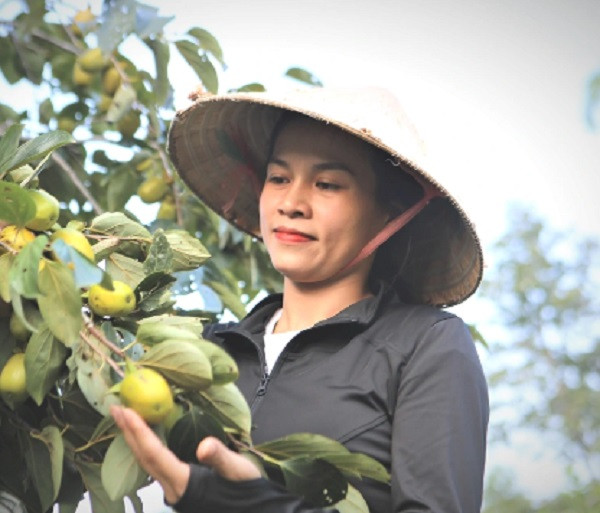 Trong hong, nguoi dan Yen Du thu hang tram trieu dong moi vu-Hinh-3
