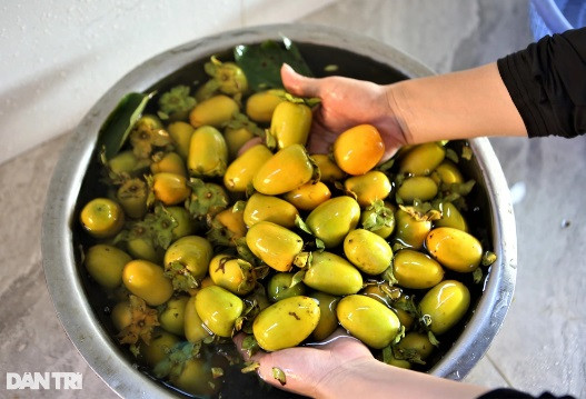 Trong hong, nguoi dan Yen Du thu hang tram trieu dong moi vu-Hinh-4