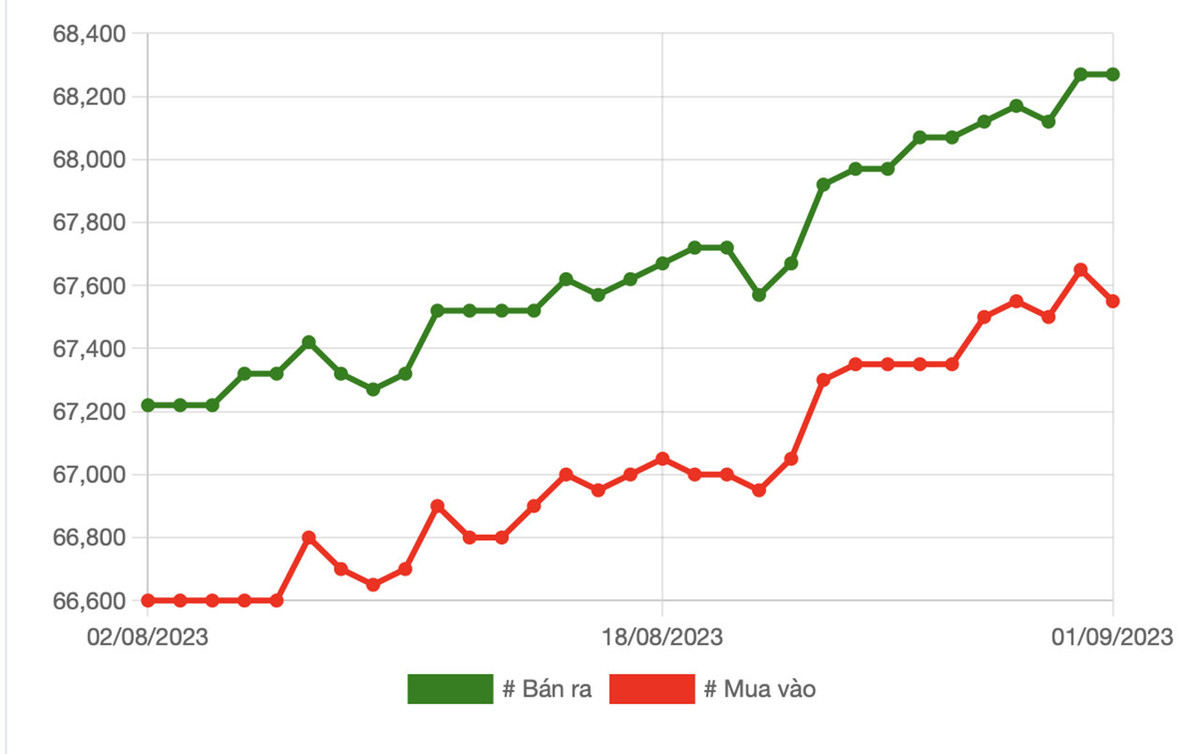 Từ nay đến cuối năm, nên mua vàng hay gửi tiền tiết kiệm? Tu nay den cuoi nam, nen mua vang hay gui tien tiet kiem?