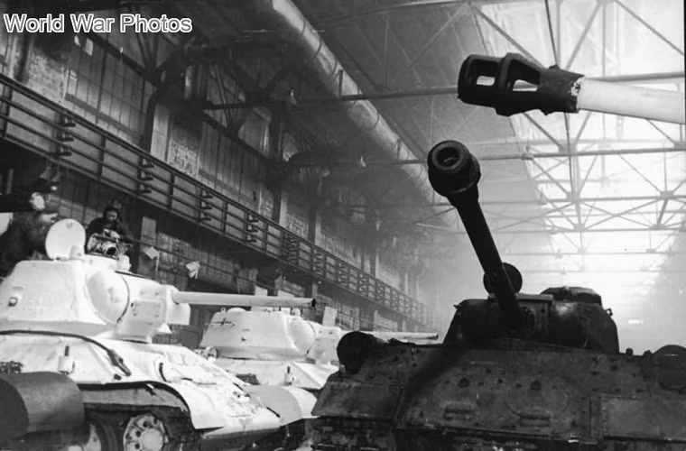 "Không nên giao tranh với IS-2 nếu không chiếm được ưu thế áp đảo trên chiến trường. Chúng ta cần một trung đội xe tăng Tiger đầy đủ để đối phó với nó. Nỗ lực đối đầu đơn độc với IS-2 sẽ khiến những chiếc Tiger vô giá bị phá hủy", Tướng Guderian sau đó ra chỉ thị.