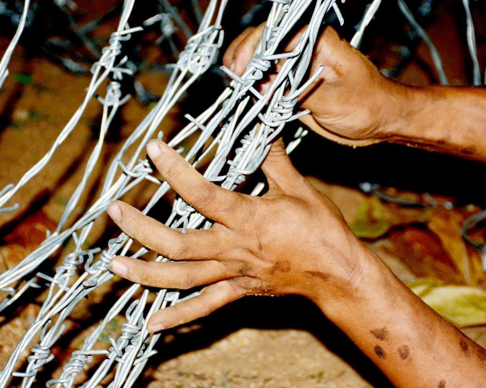 Bĩnh tĩnh, tự tin giữa bùng nhùng nhọn sắc.