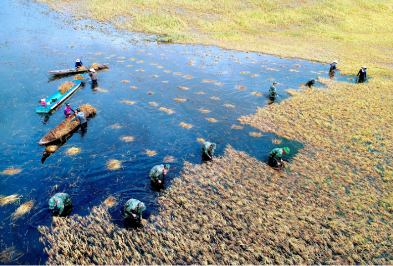 Mùa nước nổi cũng là thời điểm LLVT địa phương luôn chủ động sẵn sàng về nhân lực, phương tiện tham gia phòng chống khắc phục hậu quả lũ lụt, hỗ trợ giúp dân thu hoạch lúa hè thu chạy lũ… Mùa nước nổi cũng là mùa người dân thay đổi phương thức canh tác nông nghiệp chuyển sang khai thác nguồn lợi thủy sản đem lại nhờ hiện tượng ngập lụt mênh mông trên toàn bộ đồng bằng Sông Cửu long.
