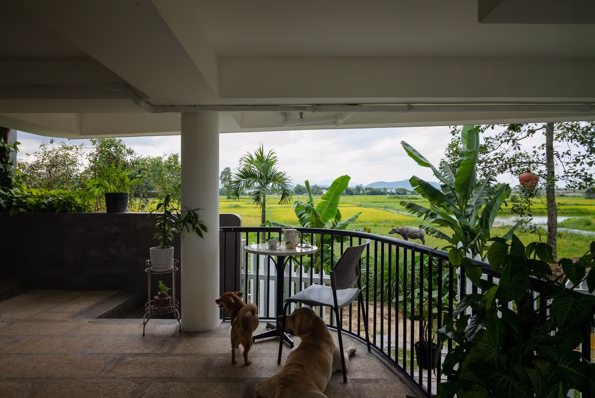 Các không gian chức năng được đưa lên các tầng trên, thiết kế tinh gọn với diện tích tối thiểu nhưng đồng thời cũng phải khai thác tốt được giá trị của cảnh quan thiên nhiên bên ngoài. Ảnh: Quang Tran