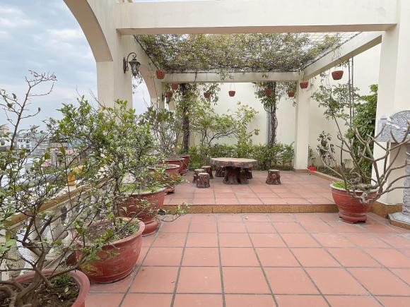 Không chỉ có sự xa hoa bên trong, mặt ngoài của ngôi nhà cũng khiến ai đi qua đều phải ngước nhìn bởi sự hoành tráng và to lớn của nó.