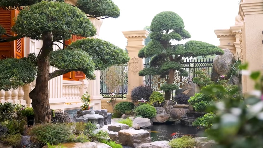Khuôn viên sân vườn thiết kế hồ cá Koi và cây tùng la hán.