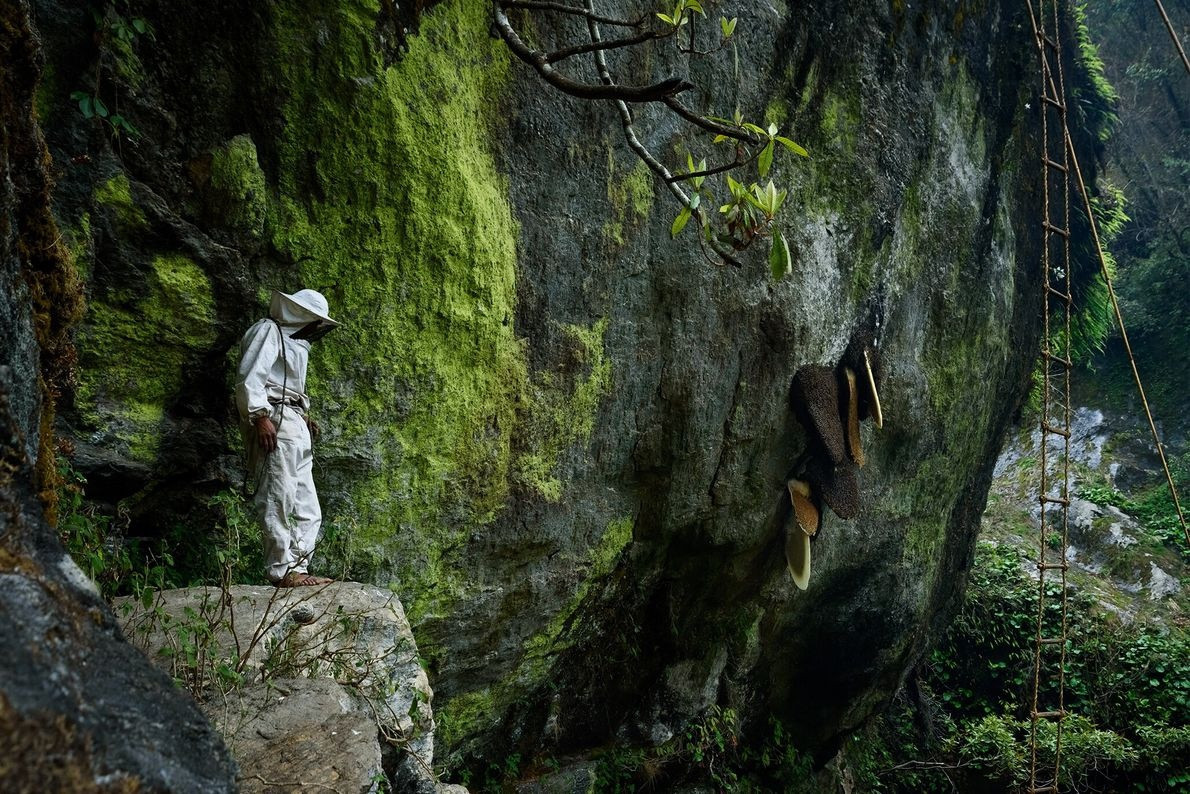 Tuy nhiên, những người làm công việc này phải đối mặt với rất nhiều nguy hiểm rình rập.