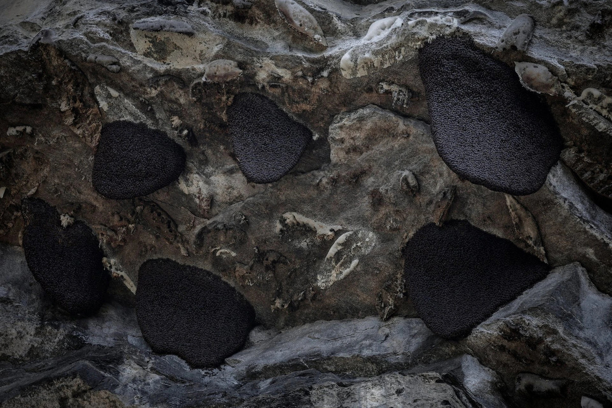 Tuy nhiên, nghề săn mật ong truyền thống lâu đời này ngày đang bị đe dọa khi một số chuyên gia cho rằng, nhiệt độ tăng do biến đổi khí hậu làm gián đoạn sự phát triển của ong, nguồn thức ăn sẵn có và thậm chí cả quá trình thụ phấn của thực vật.