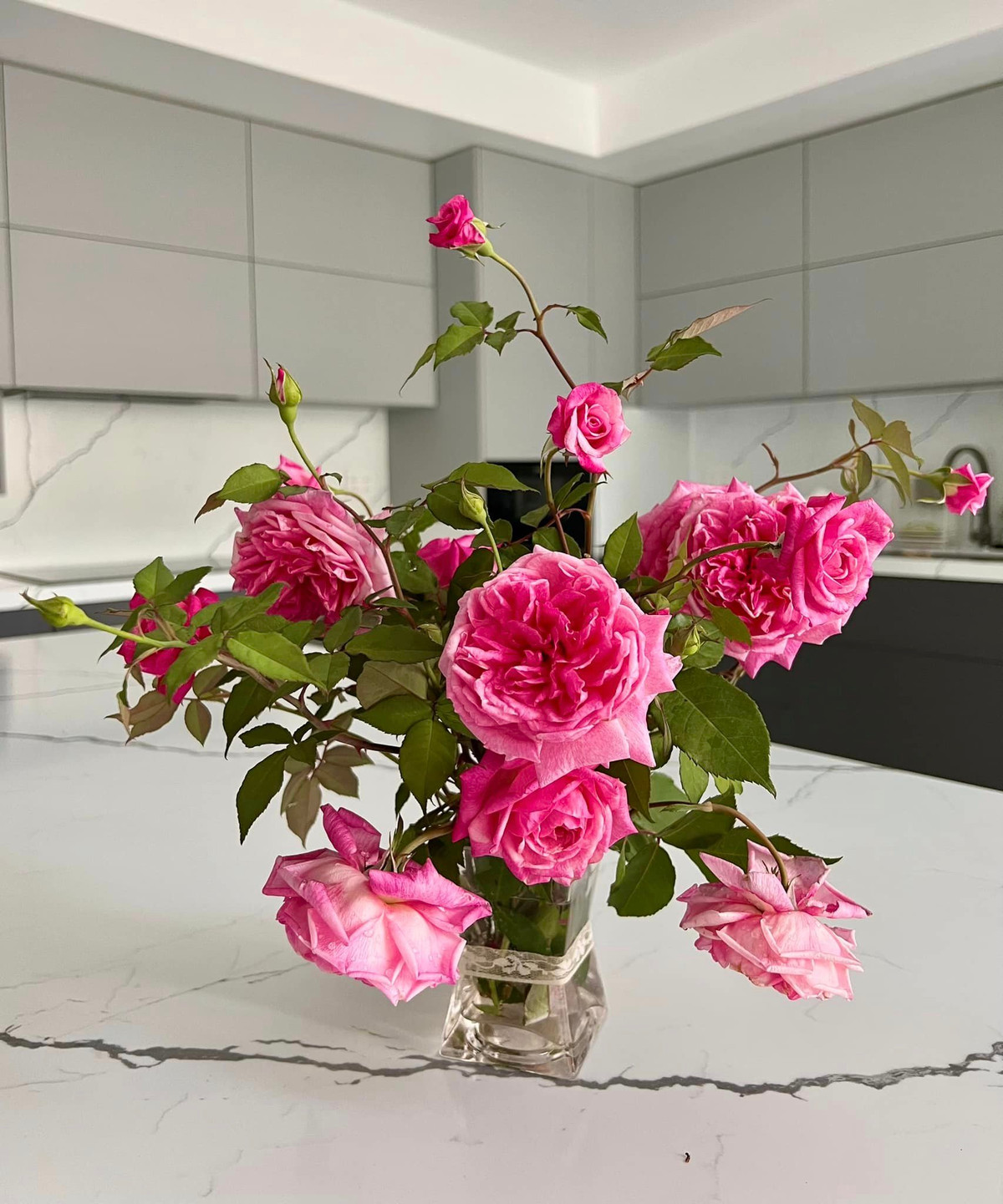 Hoa nở rộ, chị Dạ Thảo còn hái cắm vào lọ trang trí trong nhà. Nguồn ảnh: FBNV