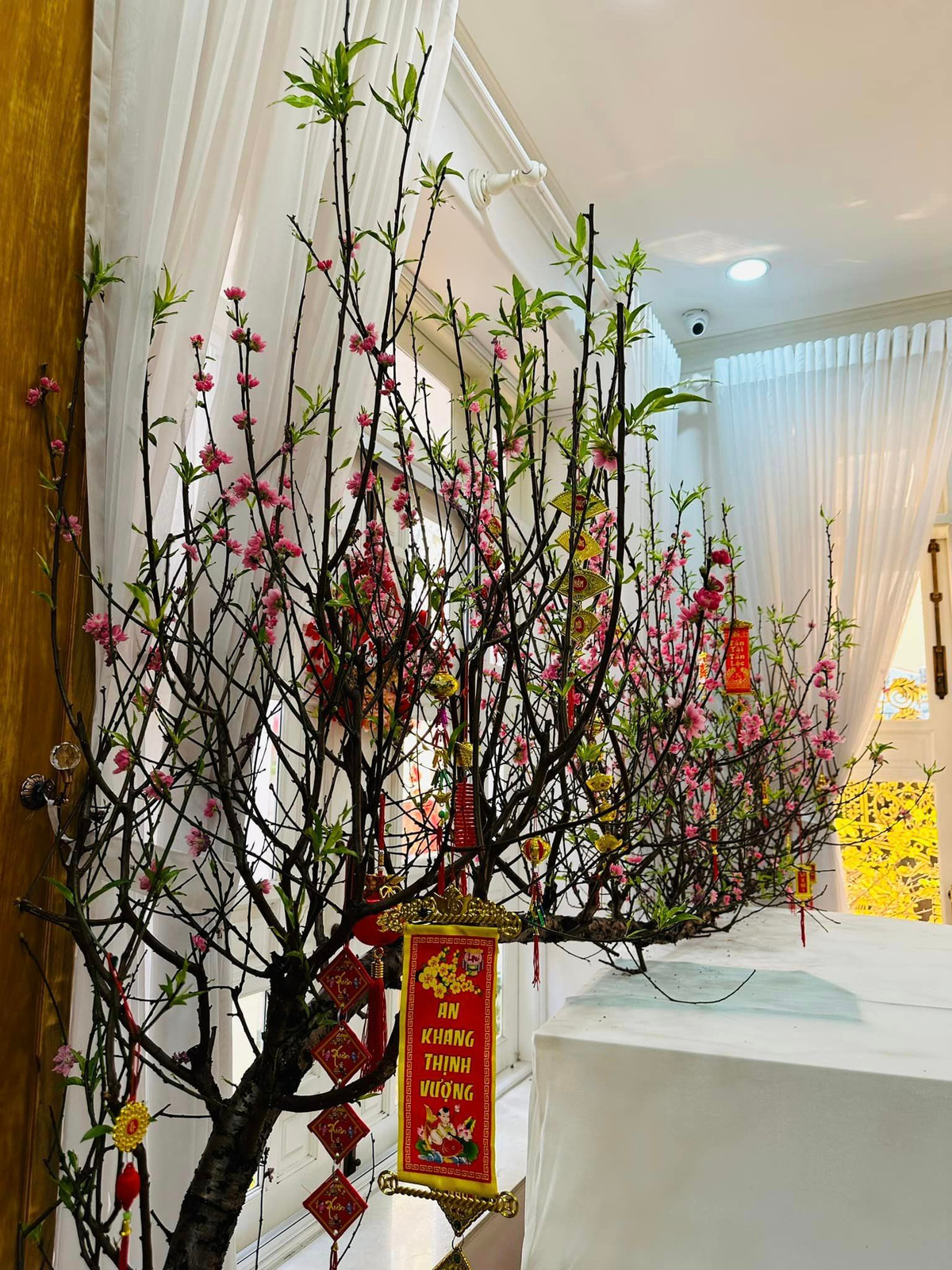 Ngày Tết, nữ ca sĩ tô điểm cho không gian sống bằng cành đào lớn.