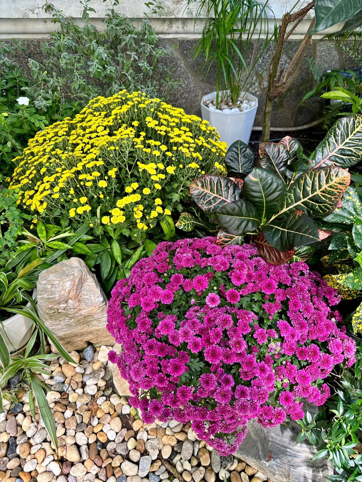 Cây nào cũng đơm hoa kết trái.