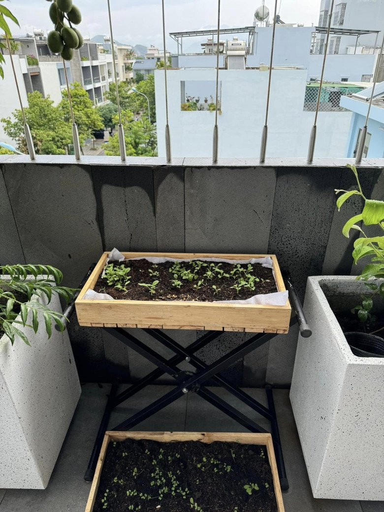 Khánh Vy gieo hạt vào khay, chăm chút cho từng mầm nhỏ.