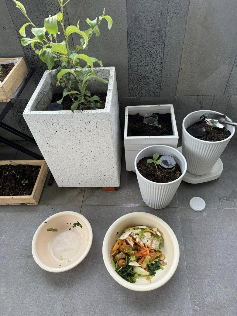 Rác nhà bếp được Khánh Vy thu gom để làm phân bón vừa giúp cây trồng tươi tốt, vừa giúp bảo vệ môi trường.