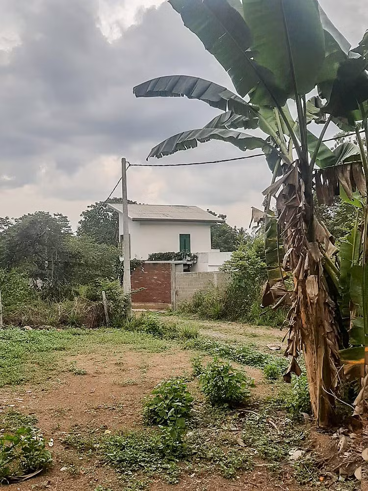 Tọa lạc tại Hokandara (Sri Lanka), ngôi nhà là tổ ấm của cặp vợ chồng trẻ với ngân sách hạn hẹp. Ảnh: Archdaily