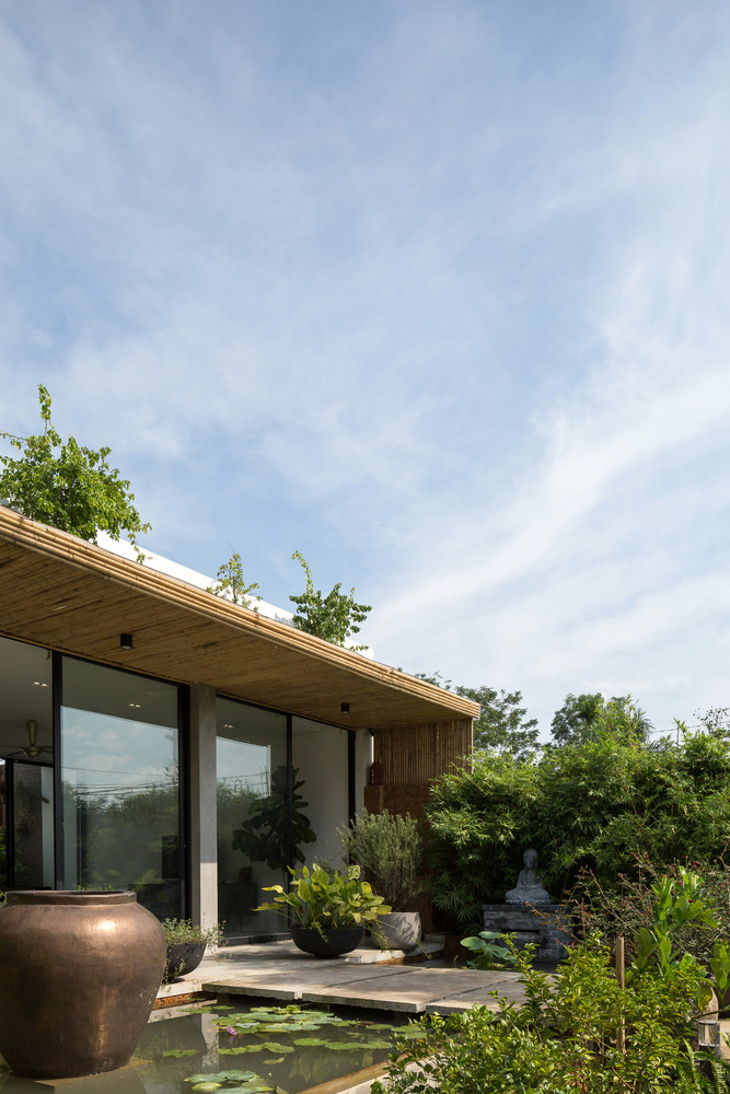 Căn nhà gây ấn tượng với hàng cây trồng men theo bờ tường bao và những chậu cây xanh mướt mắt, dàn hàng trên bậc thềm dẫn lối vào trong.