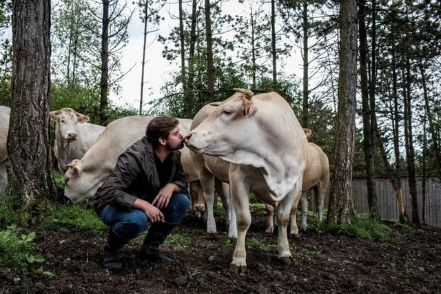 Chỉ là một trang trại nhỏ ở miền Nam nước Pháp, nhưng đây là nơi duy nhất trên thế giới cung cấp món ăn lạ lùng này, với những quy tắc kỳ quặc không kém. Ảnh: Gènes Diffusion