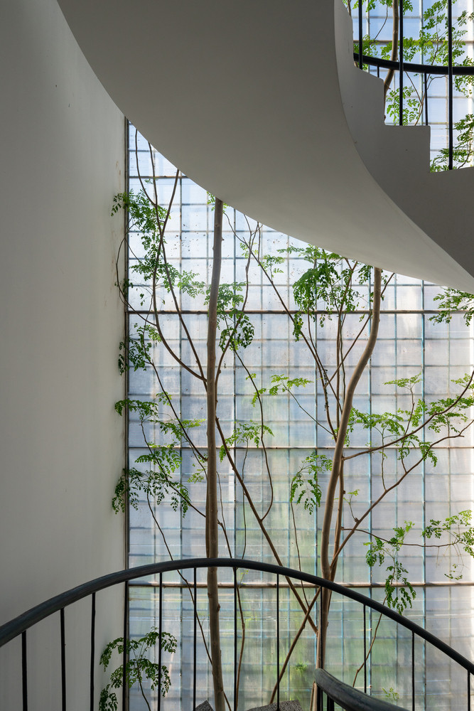 Cây xanh xuất hiện khắp không gian.