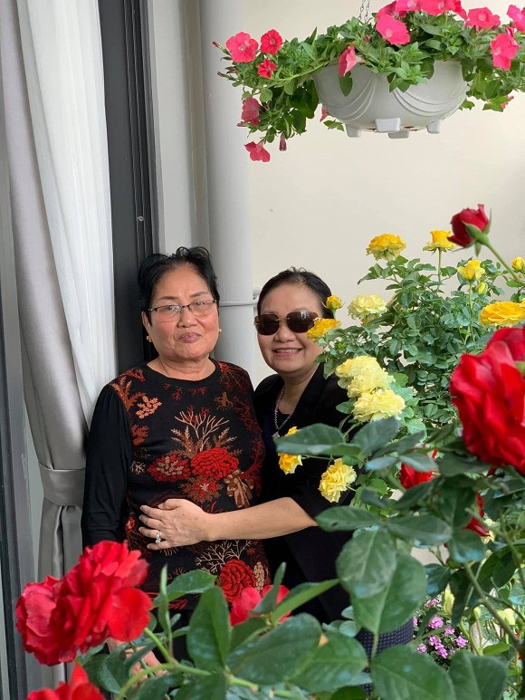 Nhiều nhất là hoa hồng đủ màu khoe sắc.