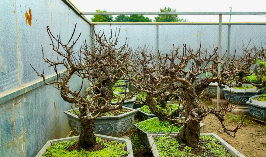 Phòng được lắp hai điều hòa hai chiều, thay đổi nhiệt độ liên tục sao cho phù hợp sự thay đổi thời tiết Hà Nội. Nhiệt độ lý tưởng từ 20-22 độ C. Ảnh: Kinhtedothi