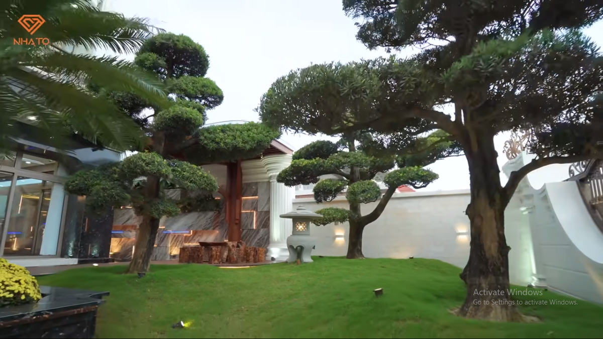 Bên trong khuôn viên biệt thự là khu vườn rộng rãi với đồi tùng đẹp mê mẩn.