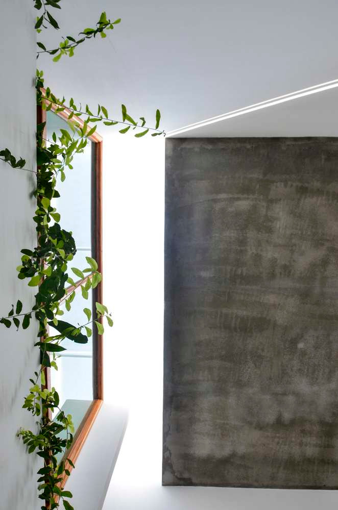 Các mảng xanh được thêm vào không gian sống một cách khéo léo. Ảnh: TaDalat Design