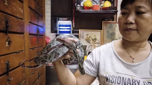 Vi sao nguoi Trung Quoc thich an do tai song