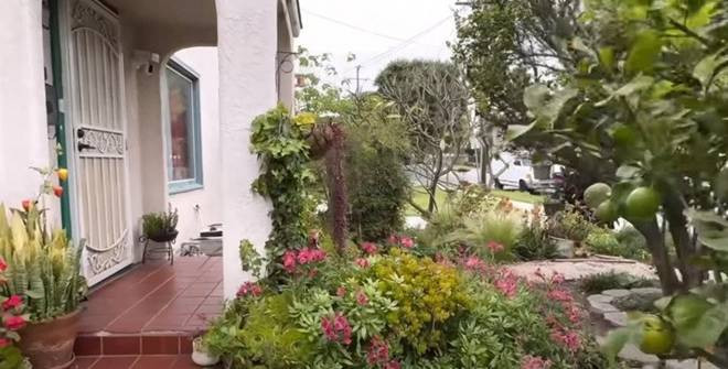 Hiện tại, danh hài Thúy Nga đang sống trong căn nhà được bao quanh bởi rất nhiều hoa cỏ và cây cối tốt um.