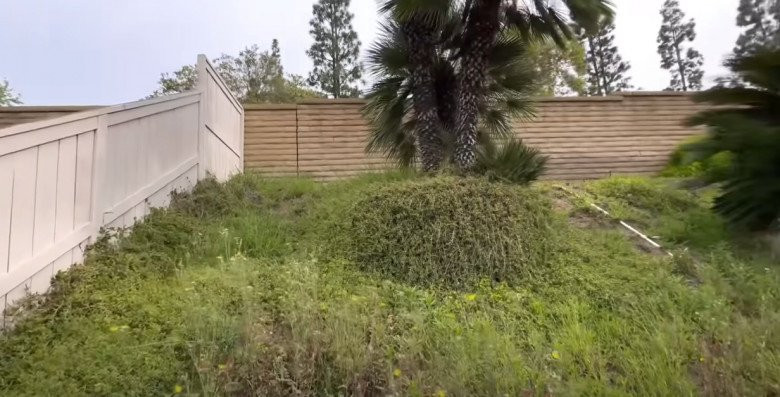 Bao quanh ngôi nhà là tường gạch, có khu vườn trên đồi mang đến không gian trong lành, mát mẻ.