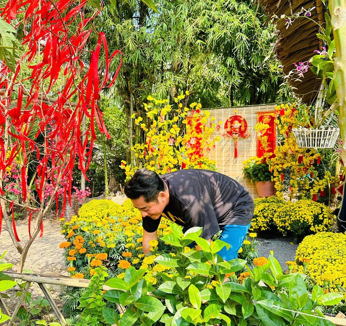 Chuẩn bị đón Tết, Huỳnh Anh Tuấn trang trí nhà vườn với hàng chục chậu cúc vạn thọ. Ảnh: FBNV