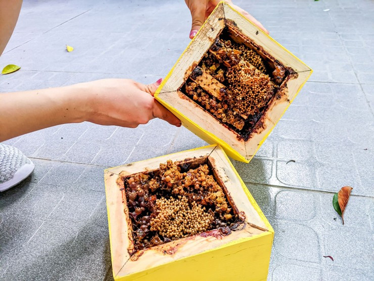 Do giá bán cao nên mật ong dú chỉ dành cho những khách hàng có điều kiện. Ảnh: Người đưa tin