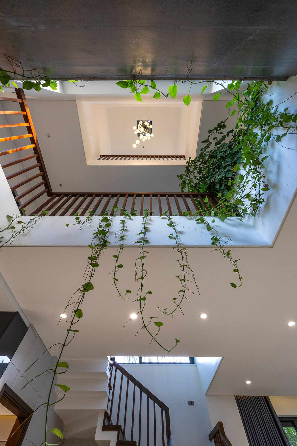 Bên cạnh đó, kiến trúc sư còn tận dụng triệt để các khoảng trống để trồng nhiều loại cây xanh với đặc tính dễ chăm và dễ sống trong nhà.