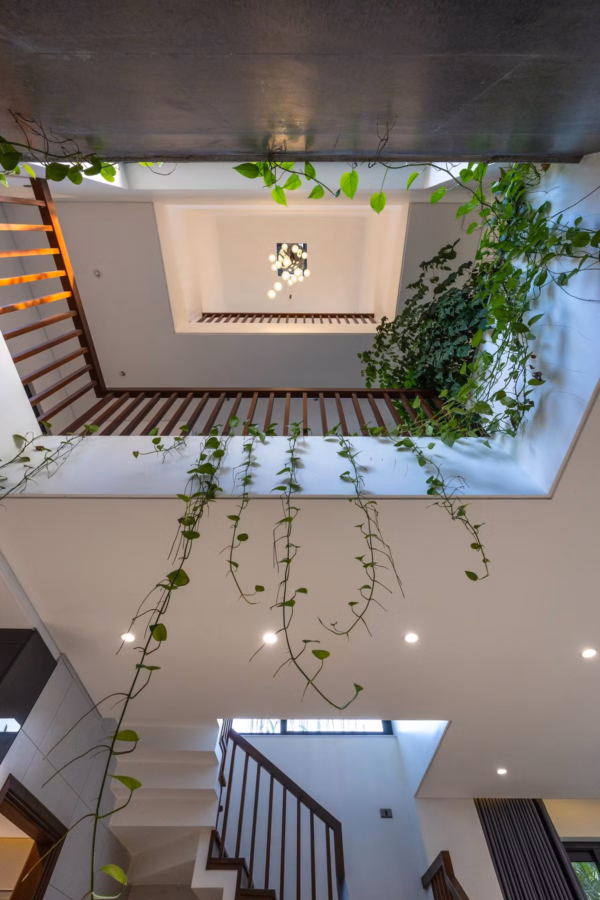 Bên cạnh đó, kiến trúc sư còn tận dụng triệt để các khoảng trống để trồng nhiều loại cây xanh với đặc tính dễ chăm và dễ sống trong nhà.