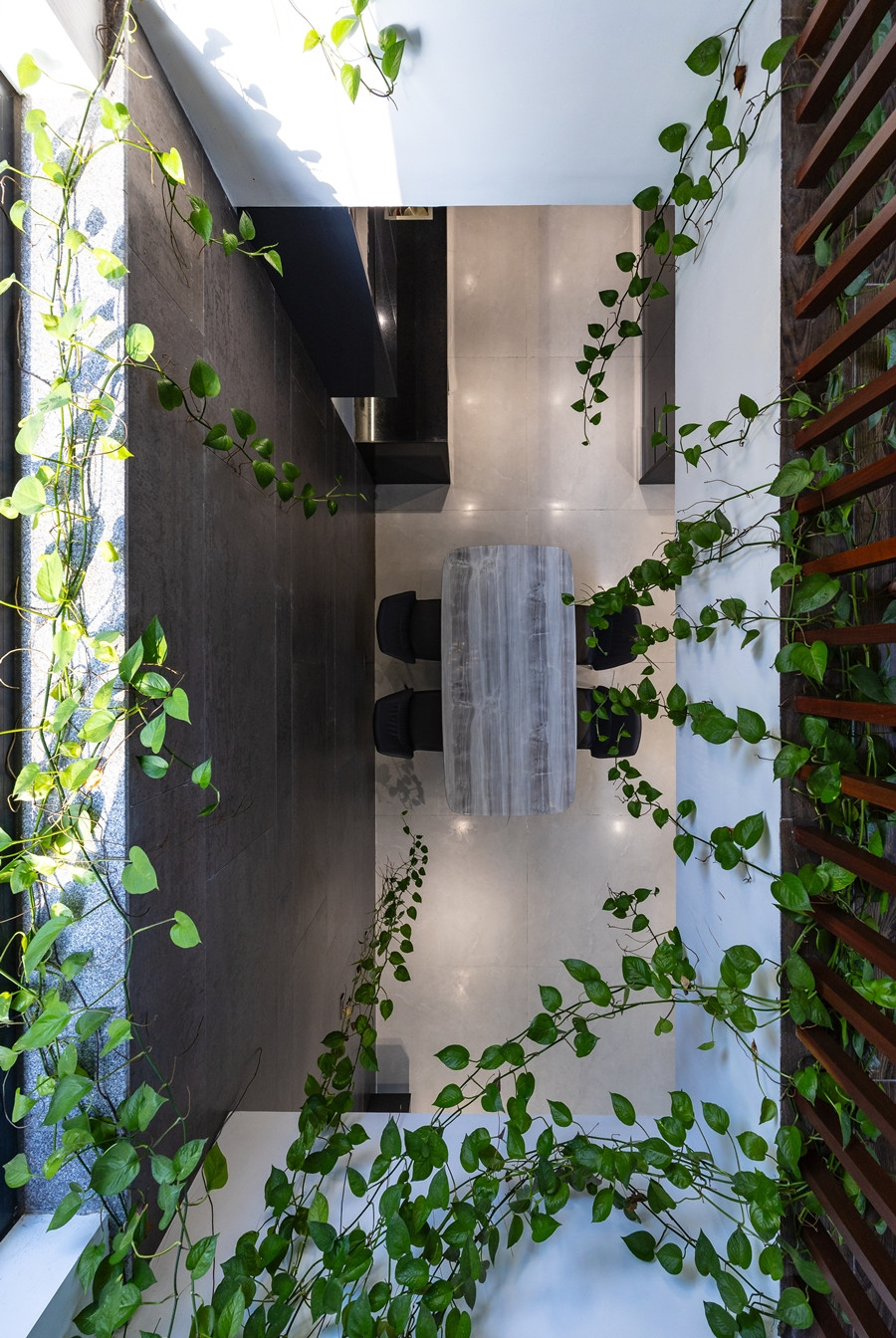 Cây dây leo mềm mại rủ xuống trong nhà giúp cân bằng sự thô cứng của nội thất tối màu.