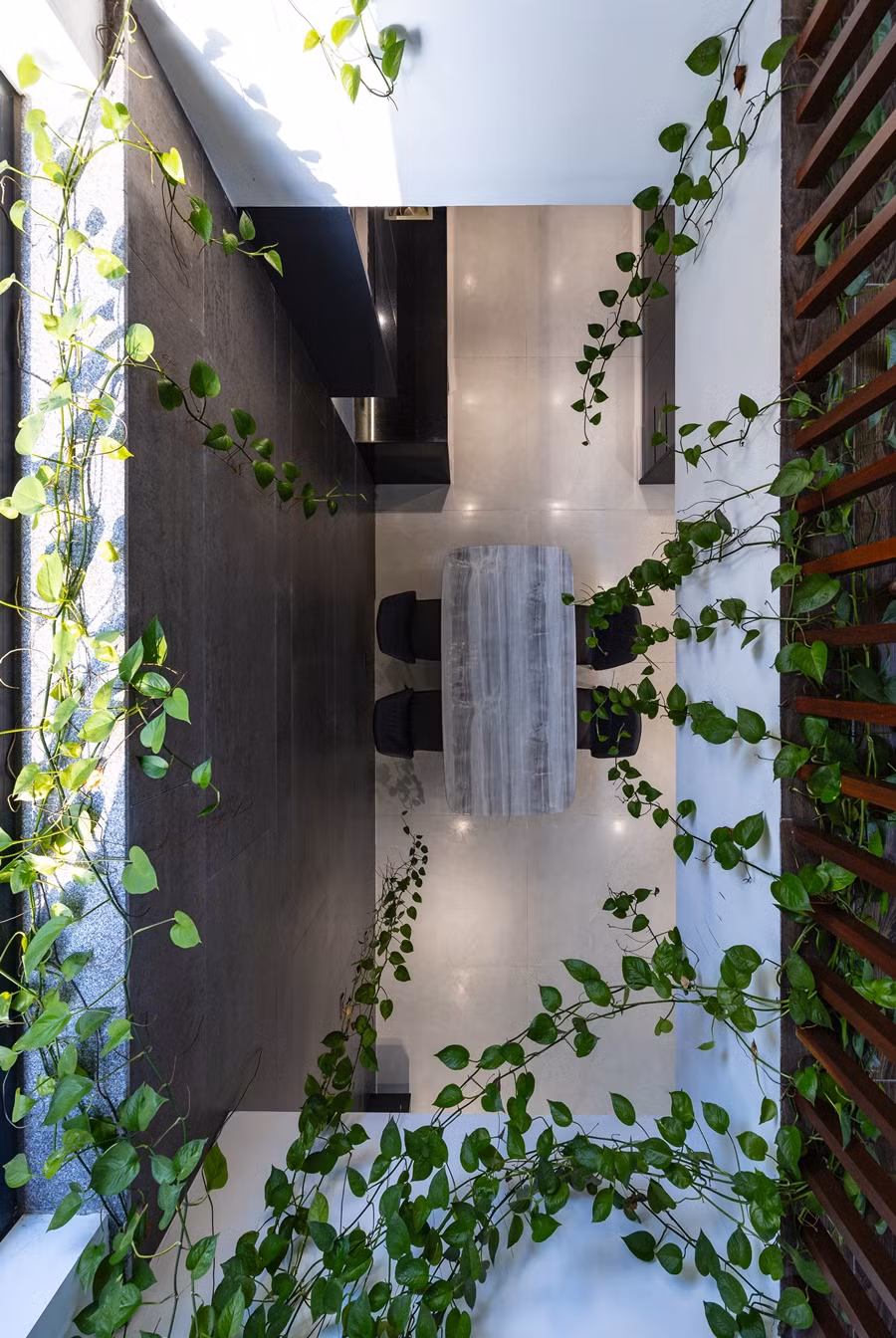 Cây dây leo mềm mại rủ xuống trong nhà giúp cân bằng sự thô cứng của nội thất tối màu.