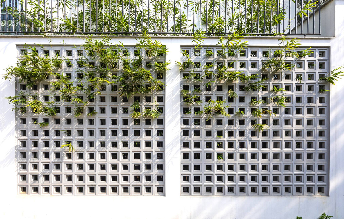 Tường bao phía ngoài căn nhà phủ đầy cây xanh. Nguồn ảnh: Triệu Chiến/Nguyen Khac Phuoc Architects