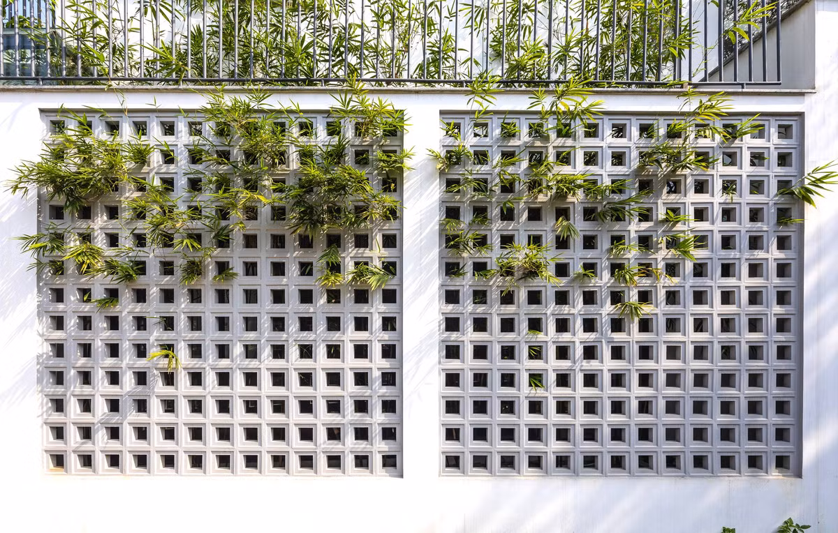 Tường bao phía ngoài căn nhà phủ đầy cây xanh. Nguồn ảnh: Triệu Chiến/Nguyen Khac Phuoc Architects