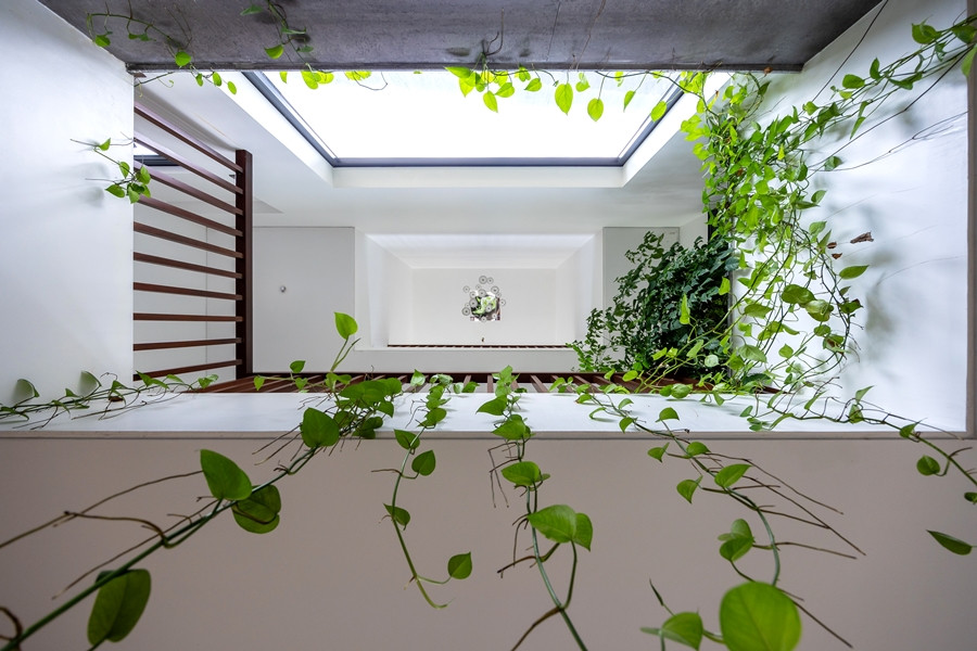 Ánh sáng tự nhiên được đưa vào nhà qua giếng trời và hệ cửa kính chạy khắp căn nhà sau khi được lọc bởi 1 tầng lá cây.