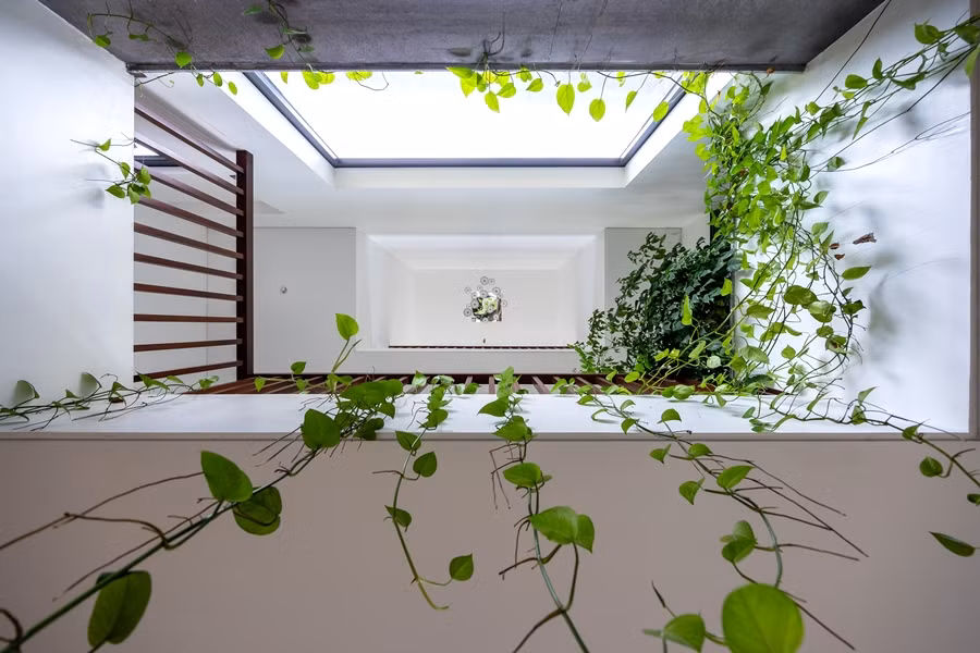 Ánh sáng tự nhiên được đưa vào nhà qua giếng trời và hệ cửa kính chạy khắp căn nhà sau khi được lọc bởi 1 tầng lá cây.