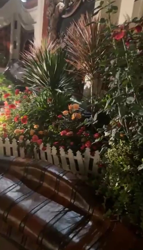 Nữ đại gia thích thú khoe góc vườn nhỏ ngập hoa trong căn nhà. Ảnh: FB Mai Lisa