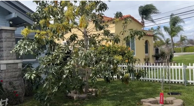 Căn nhà của diễn viên Đức Tiến có thiết kế sang trọng, hiện đại với khuôn viên sân vườn rộng rãi.