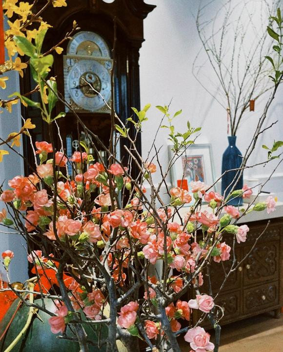 Các loài hoa Diễm My 9X lựa chọn đều phù hợp với tổng thể căn nhà.