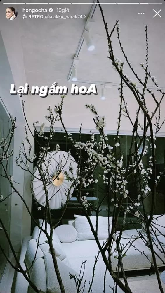 Cành mận trong biệt thự của Hà Hồ đã trổ bông trắng muốt.